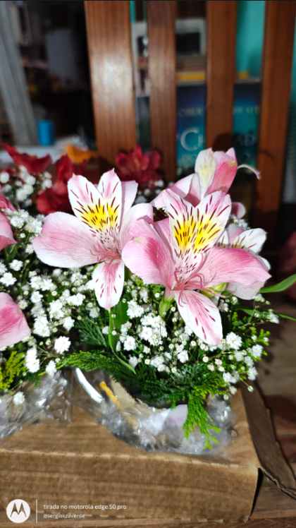 Arranjo Mini Arranjo de Mesa