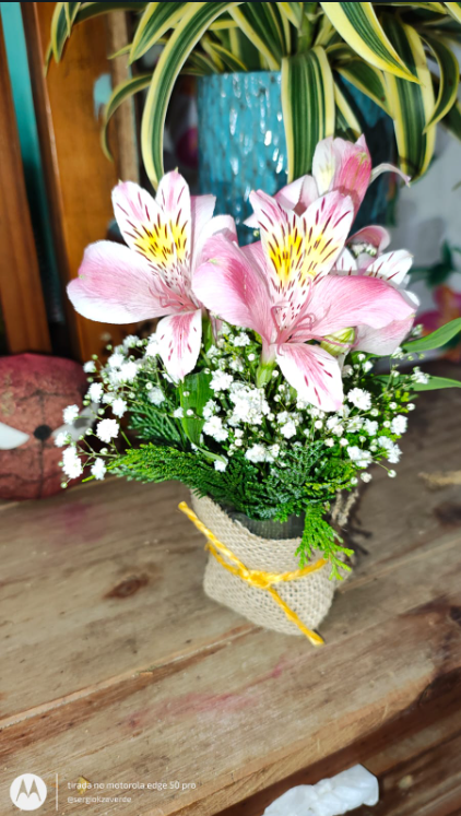 Arranjo Mini Arranjo de Mesa view 3