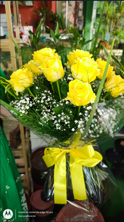 Buque doze rosas view 3