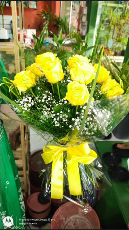 Buque doze rosas view 4