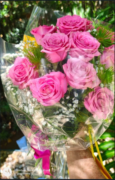 Buque doze - Cor Rosa