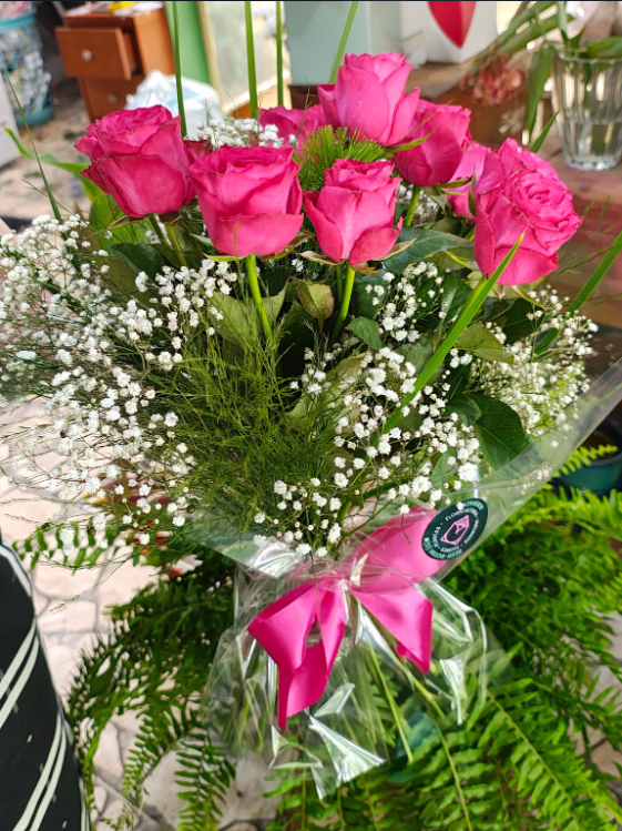 Buque doze - Cor Rosa view 3