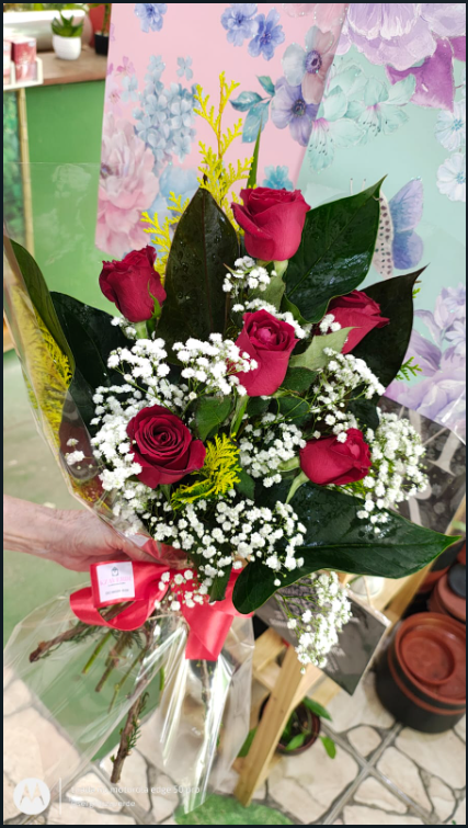 Buque Seis Rosas view 2