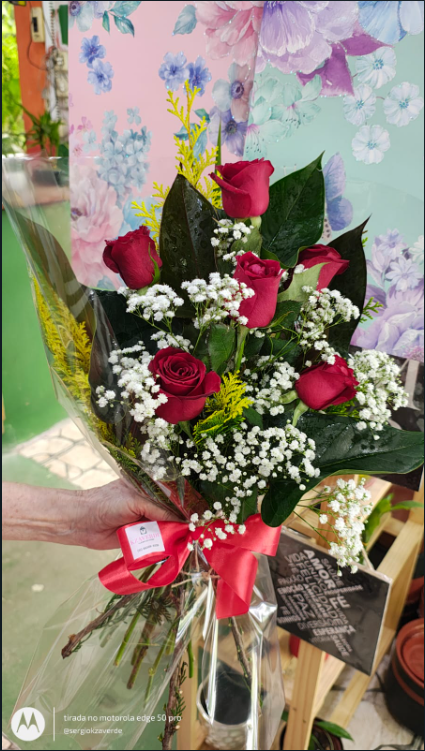 Buque Seis Rosas view 3