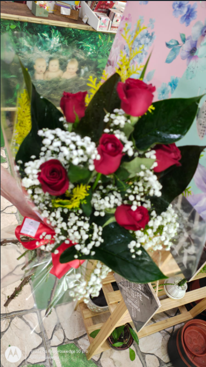 Buque Seis Rosas view 4