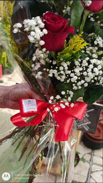 Buque Seis Rosas view 5