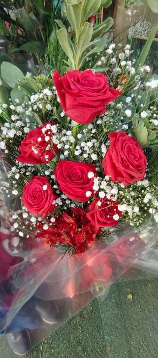 Buquê 6 Rosas